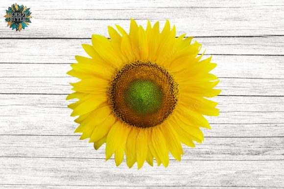 Download Sunflower Design PNG Sublimation - Png Collection