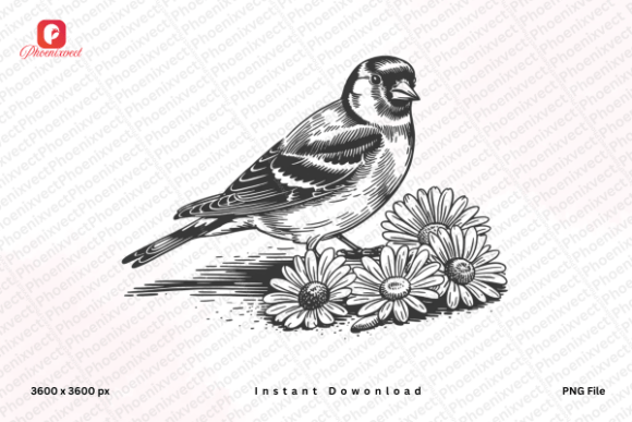 Download Floral Bird Hand Drawn Sparrow Bird PNG - Png Collection