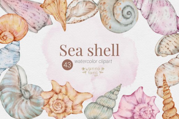 Download Sea Shell Summer Watercolor Clipart, PNG - Png Collection