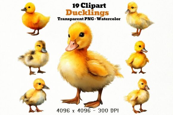 Download 19 Duckling PNG Clipart Watercolor - Png Collection