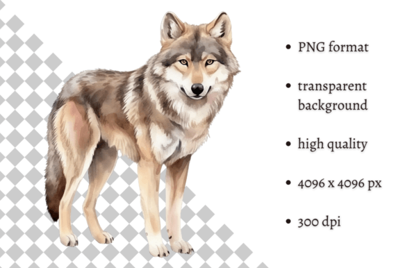Download Watercolor Woodland Wolf PNG Clipart - Png Collection