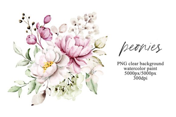 Download Pink Flowers Watercolor Peonies, PNG. - Png Collection